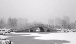 爆料高密修桥视频最新,现场实拍，见证匠心独运